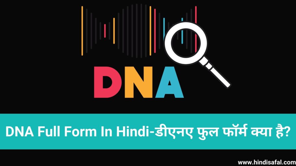DNA Full Form In Hindi-डीएनए फुल फॉर्म क्या है?