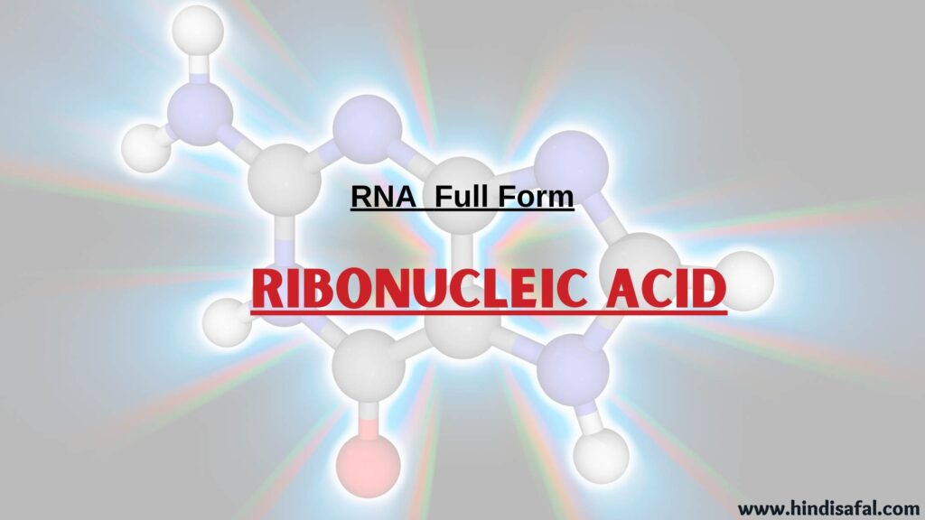 RNA Full Form