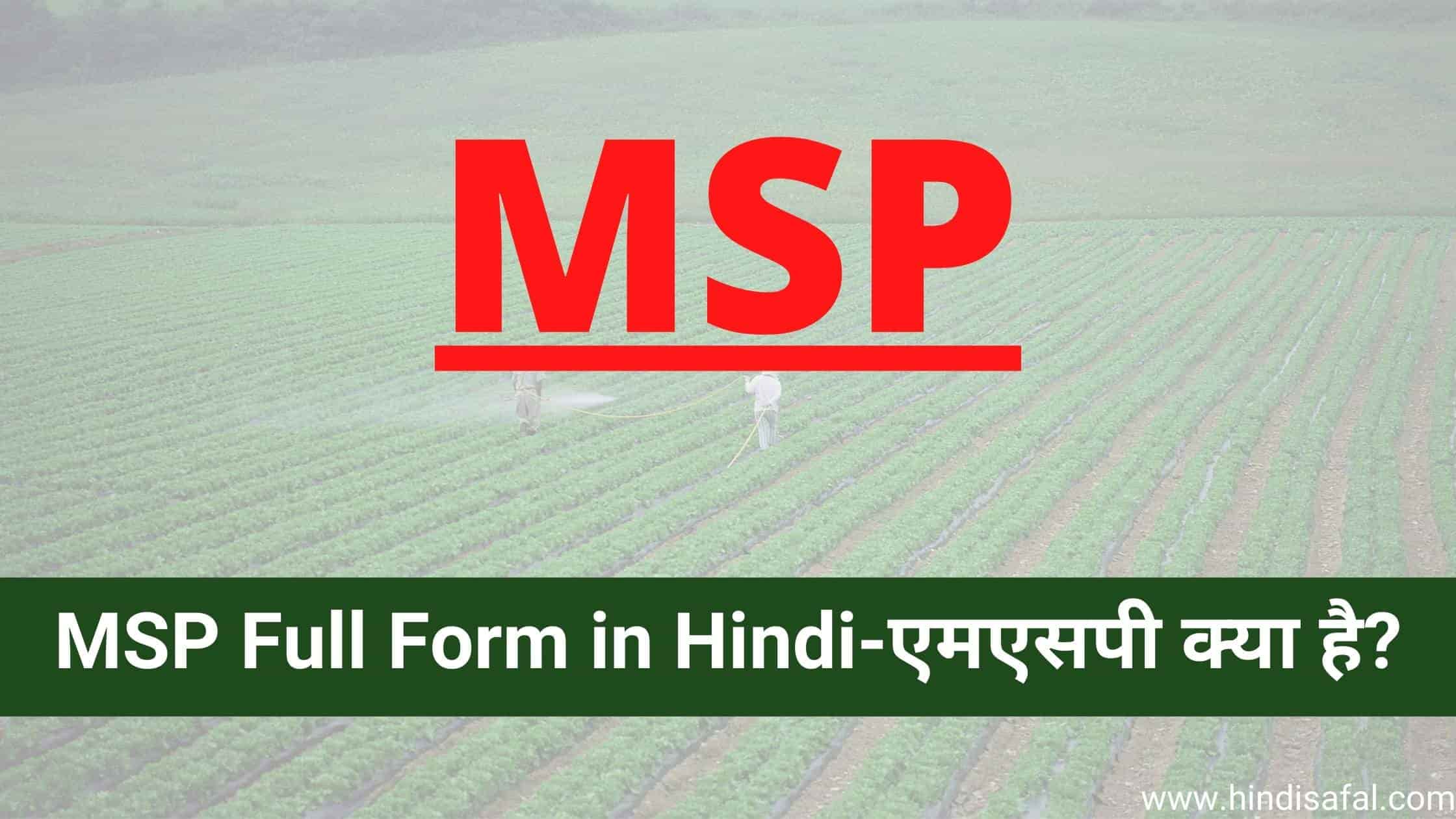 msp full form in hindi