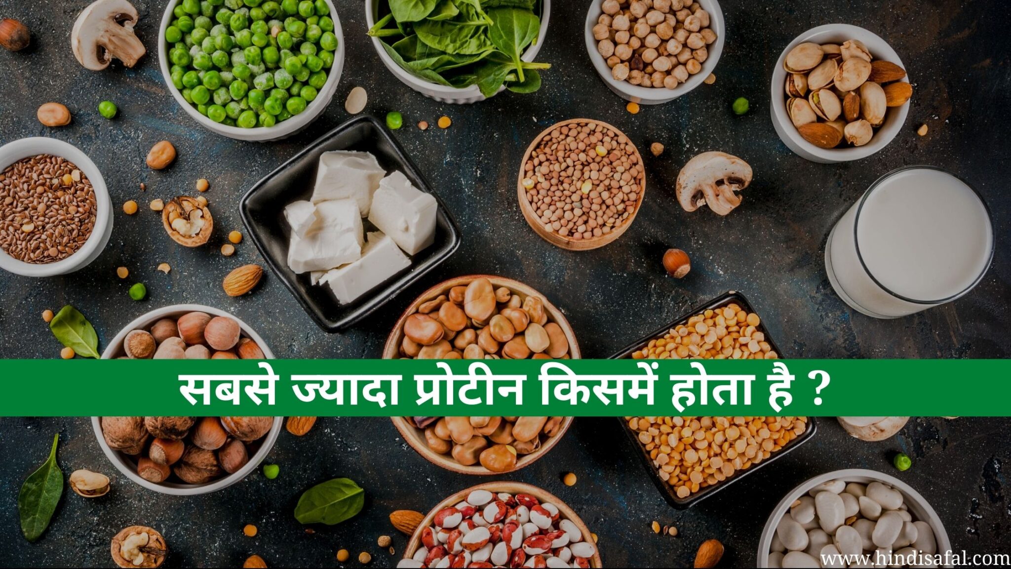 Sabse Jyada Protein Kisme Hota HaiTop 10 Rich Protein