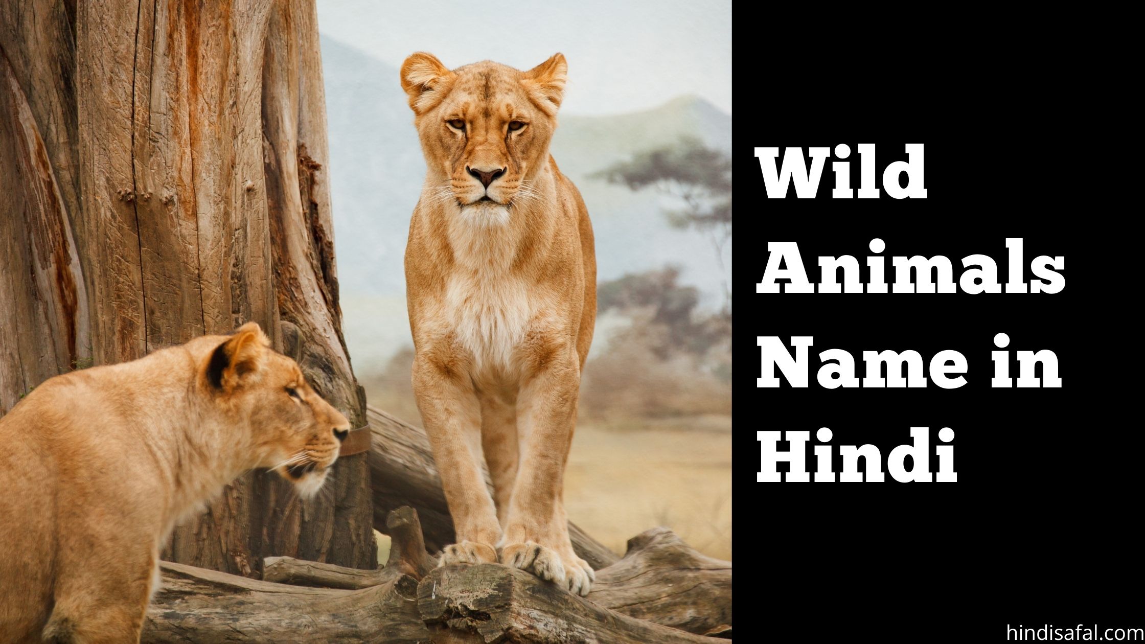 30 जंगली जानवरों के नाम हिंदी में-Wild Animals Name In Hindi