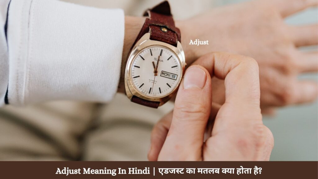 Adjust Meaning In Hindi